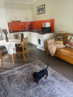 Urban Retreat, Wollongong